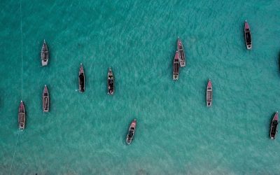Dron strona Internetowa -06