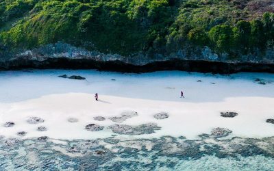 Dron strona Internetowa -07